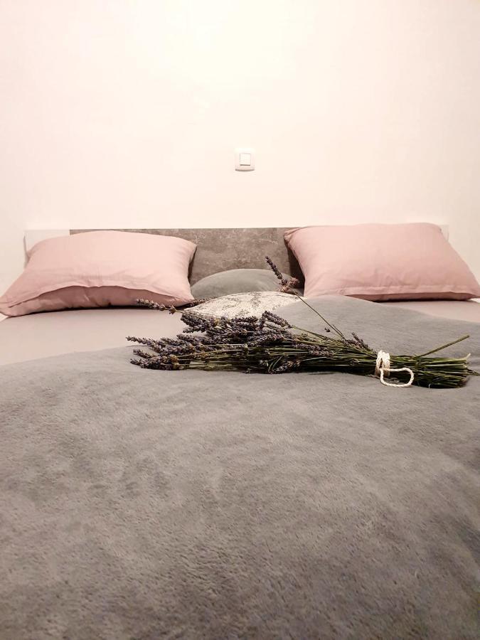 Apartman Skolj Jovici  エクステリア 写真